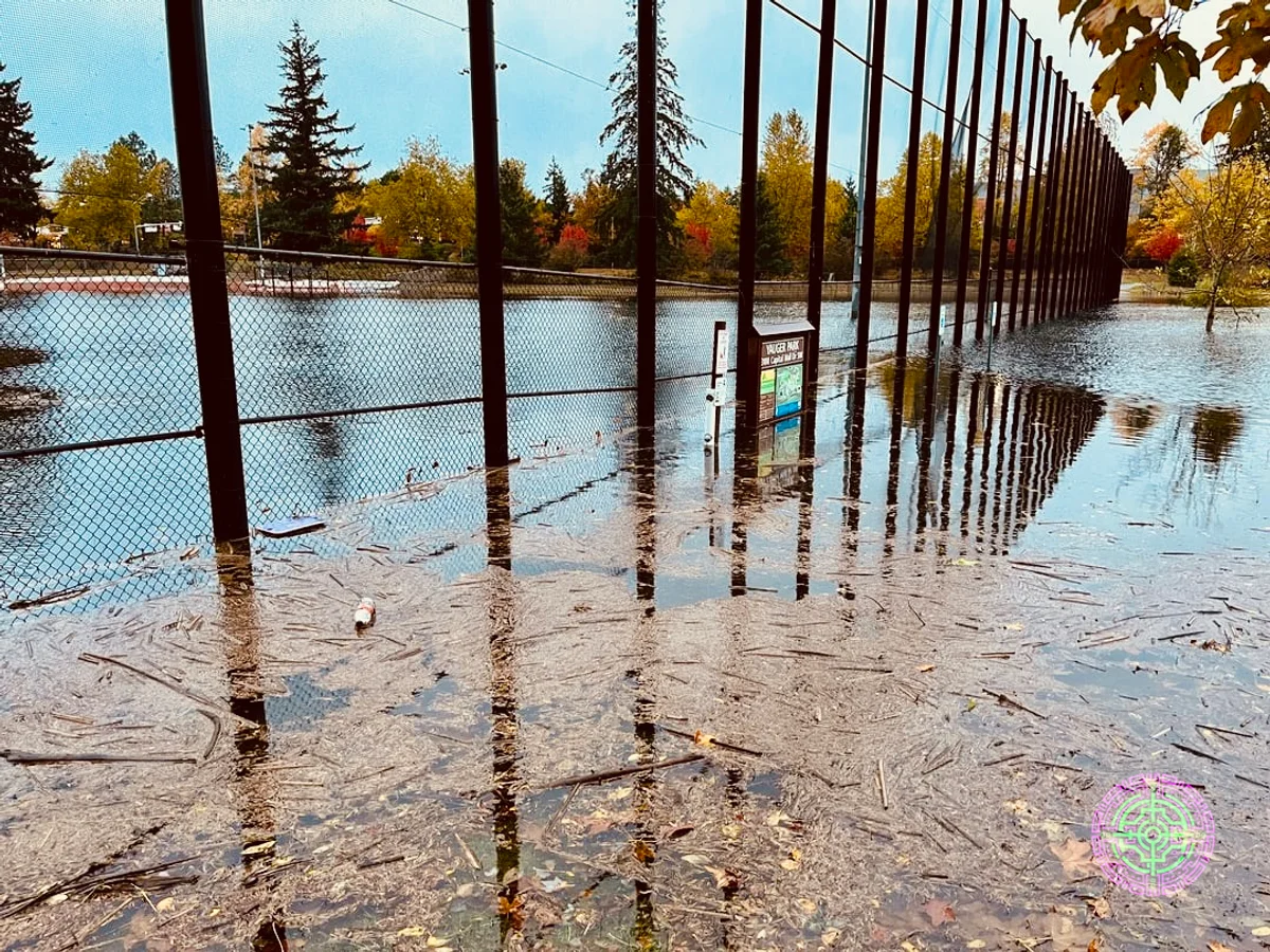 Fuertes inundaciones en el Parque Yauger que muestran el sistema de retención de aguas pluviales en acción. Crédito: Reddit u/CoverSad9809