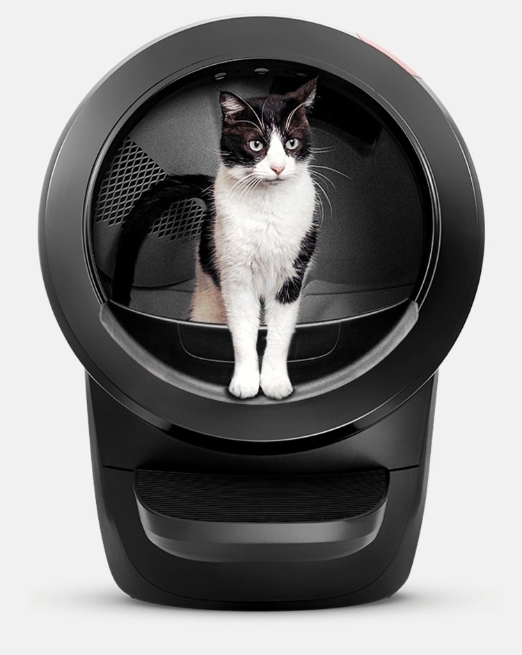 A black-and-white cat standing in the round opening of the black Whisker Litter-Robot 4, with the waste drawer below